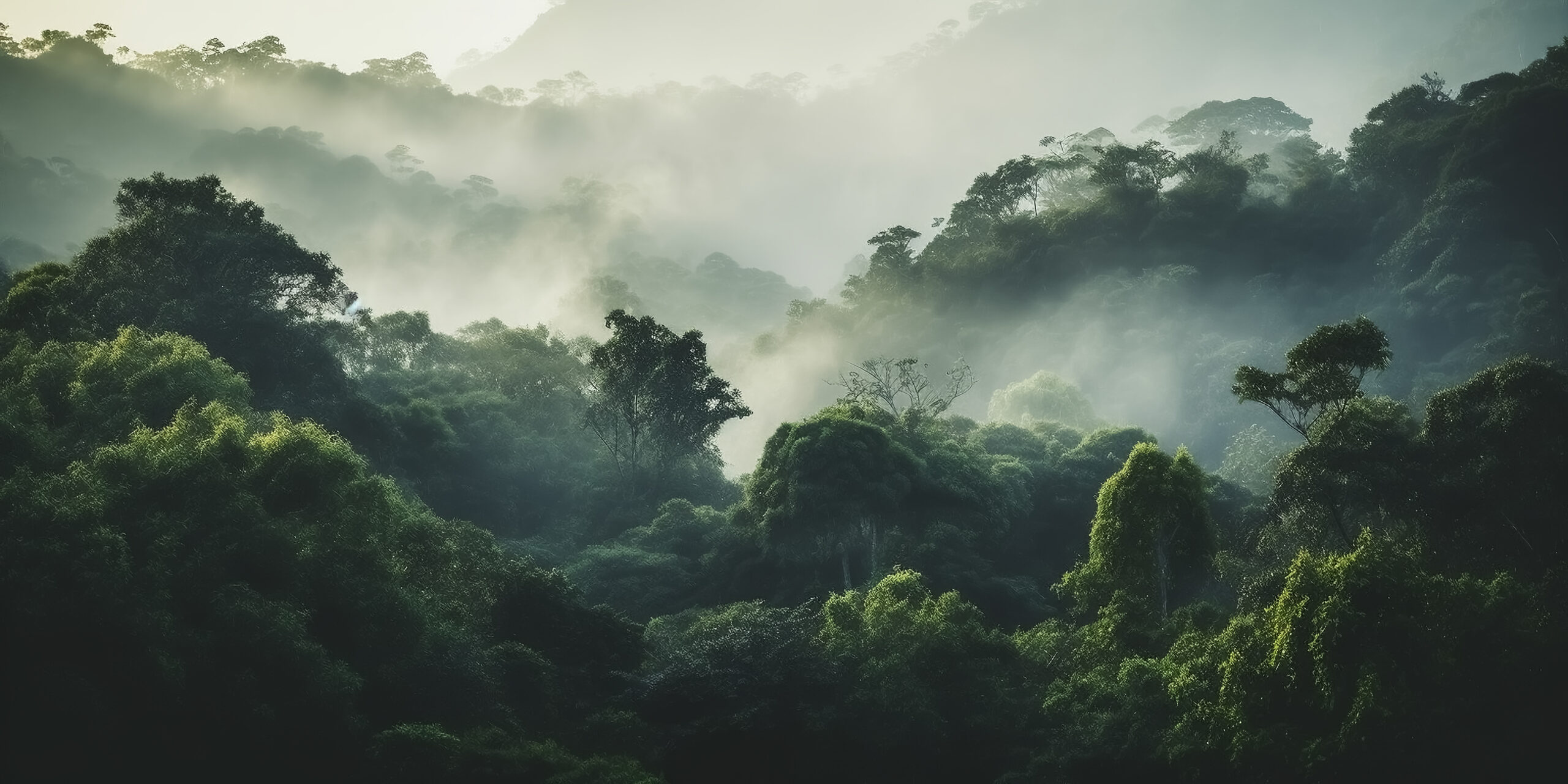 Global Environmental Strategy